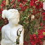 Le Chant Des Oiseaux - Au Pied De La Voie Cyclable *