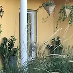 Le Chant Des Oiseaux - Au Pied De La Voie Cyclable Crevechamps