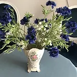 Le Chant Des Oiseaux - Au Pied De La Voie Cyclable Homestay *