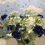 Homestay Le Chant Des Oiseaux - Au Pied De La Voie Cyclable