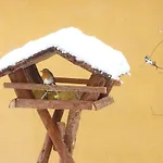 Le Chant Des Oiseaux - Au Pied De La Voie Cyclable Homestay