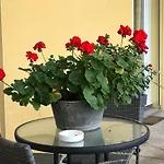 Le Chant Des Oiseaux - Au Pied De La Voie Cyclable Crevechamps