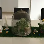 Le Chant Des Oiseaux - Au Pied De La Voie Cyclable *