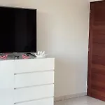 Le Chant Des Oiseaux - Au Pied De La Voie Cyclable