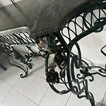 Le Chant Des Oiseaux - Au Pied De La Voie Cyclable Crevechamps