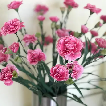 Le Chant Des Oiseaux - Au Pied De La Voie Cyclable Accommodatie bij particulieren Crevechamps