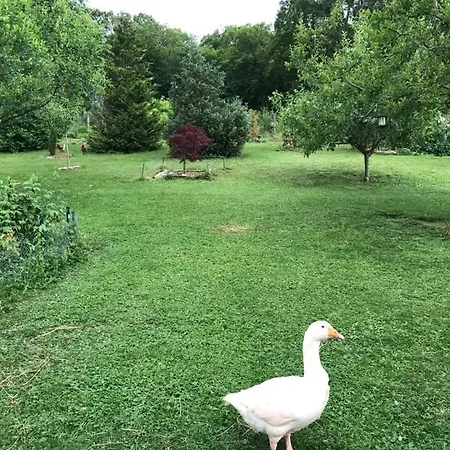 Homestay Le Chant Des Oiseaux - Au Pied De La Voie Cyclable