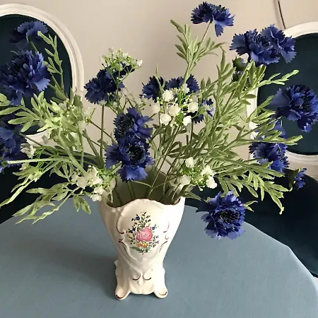 Le Chant Des Oiseaux - Au Pied De La Voie Cyclable Séjour chez l'habitant *