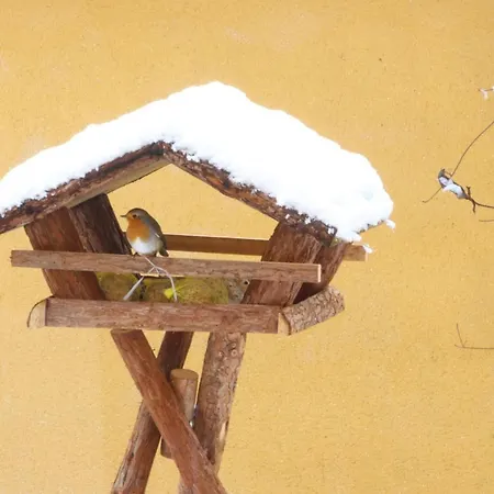 Le Chant Des Oiseaux - Au Pied De La Voie Cyclable Homestay