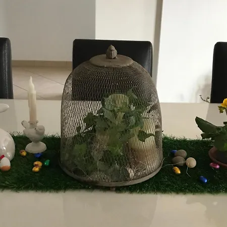 Le Chant Des Oiseaux - Au Pied De La Voie Cyclable *