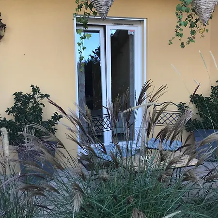 Le Chant Des Oiseaux - Au Pied De La Voie Cyclable * Crevechamps
