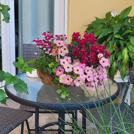 Homestay Le Chant Des Oiseaux - Au Pied De La Voie Cyclable