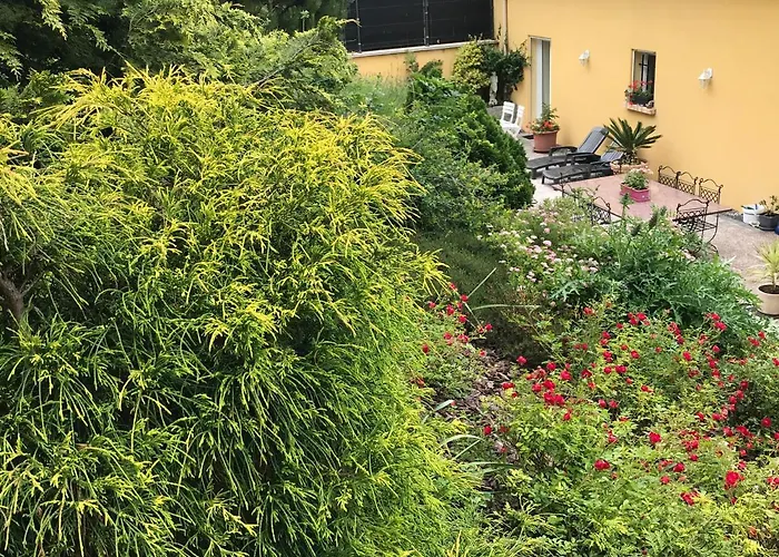 Le Chant Des Oiseaux - Au Pied De La Voie Cyclable Homestay Crevechamps