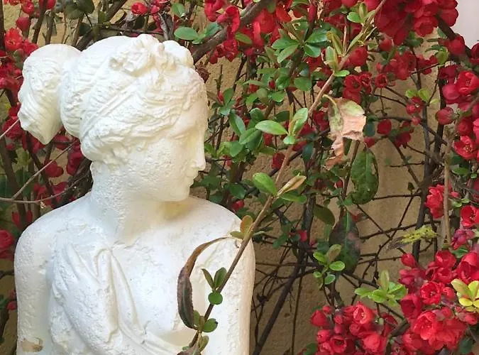 Le Chant Des Oiseaux - Au Pied De La Voie Cyclable *