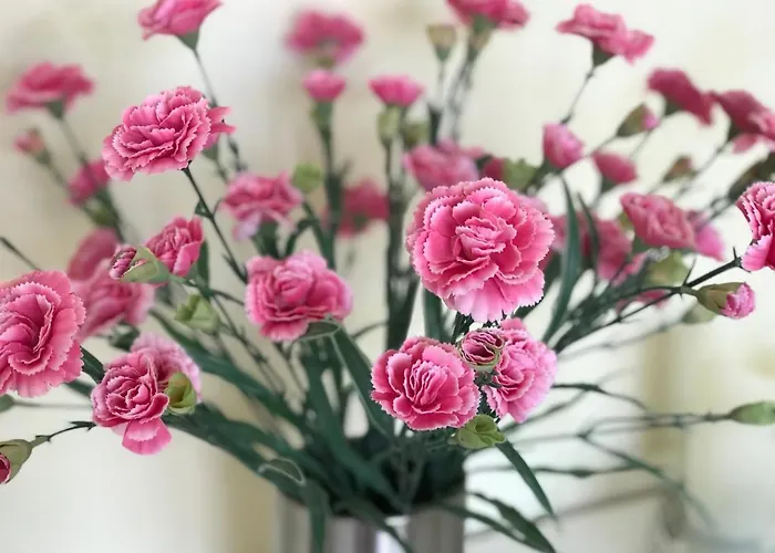 Le Chant Des Oiseaux - Au Pied De La Voie Cyclable Homestay Crevechamps