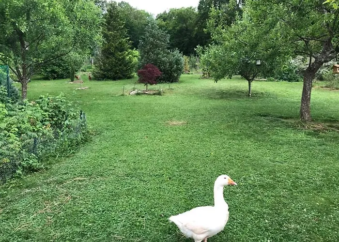 Quarto em Acomodações Particulares Le Chant Des Oiseaux - Au Pied De La Voie Cyclable
