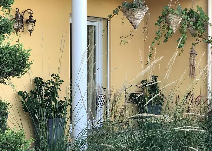 Le Chant Des Oiseaux - Au Pied De La Voie Cyclable Crevechamps