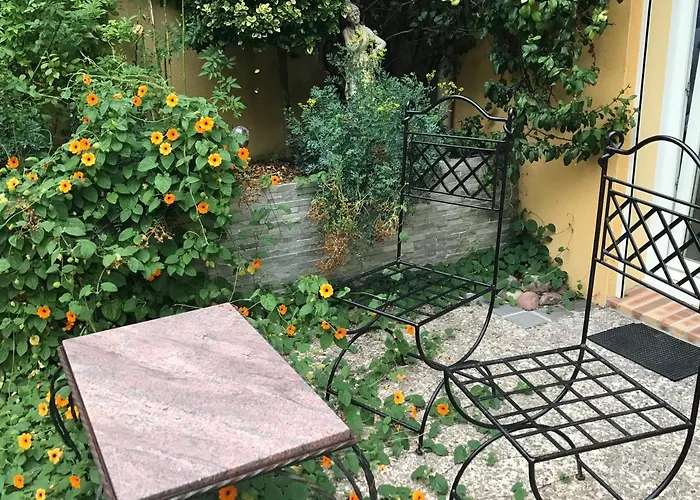 Le Chant Des Oiseaux - Au Pied De La Voie Cyclable