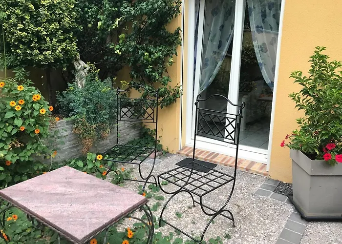 Le Chant Des Oiseaux - Au Pied De La Voie Cyclable *