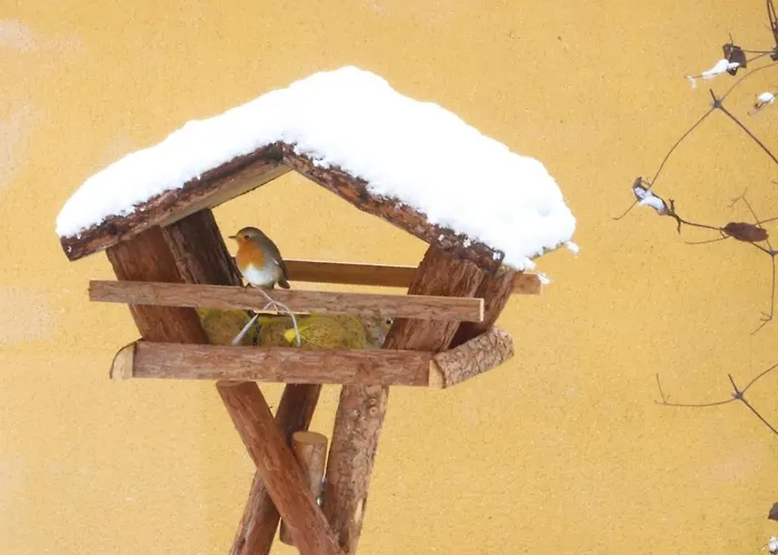 Le Chant Des Oiseaux - Au Pied De La Voie Cyclable Homestay