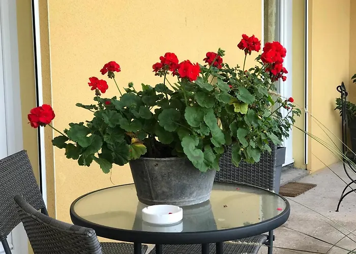 Le Chant Des Oiseaux - Au Pied De La Voie Cyclable Crevechamps