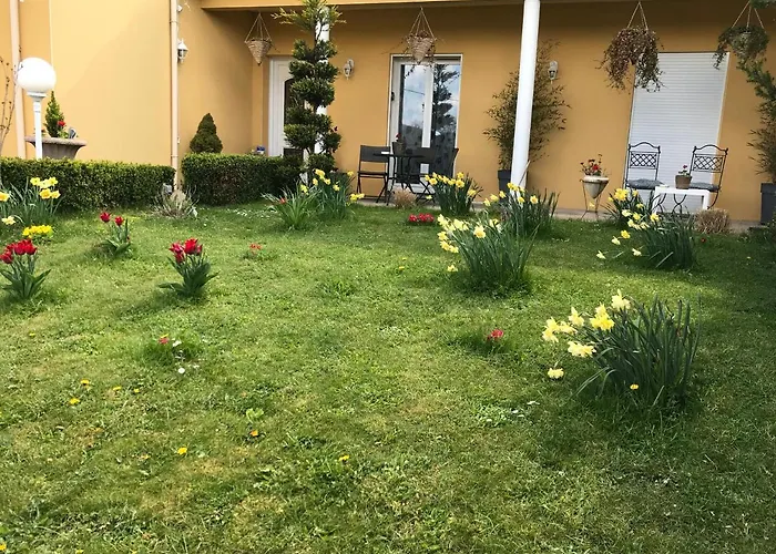 Le Chant Des Oiseaux - Au Pied De La Voie Cyclable *