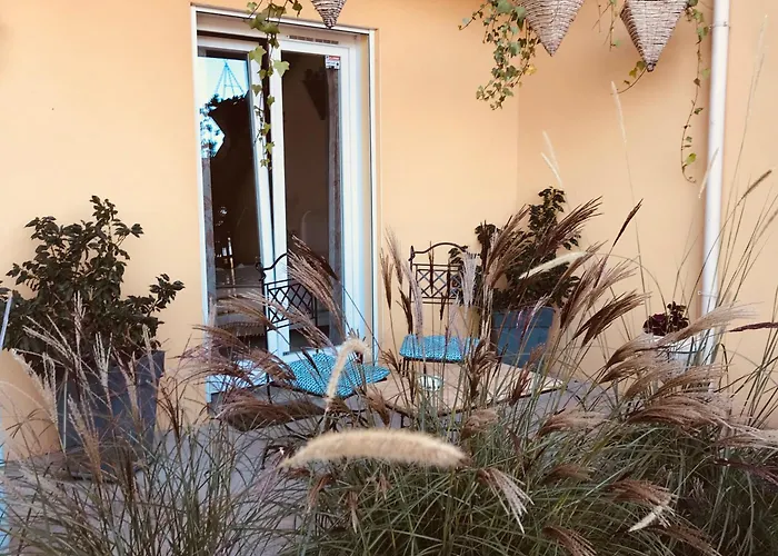 Le Chant Des Oiseaux - Au Pied De La Voie Cyclable Crevechamps