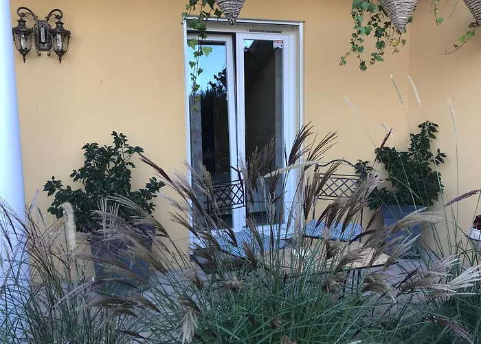 Le Chant Des Oiseaux - Au Pied De La Voie Cyclable * Crevechamps