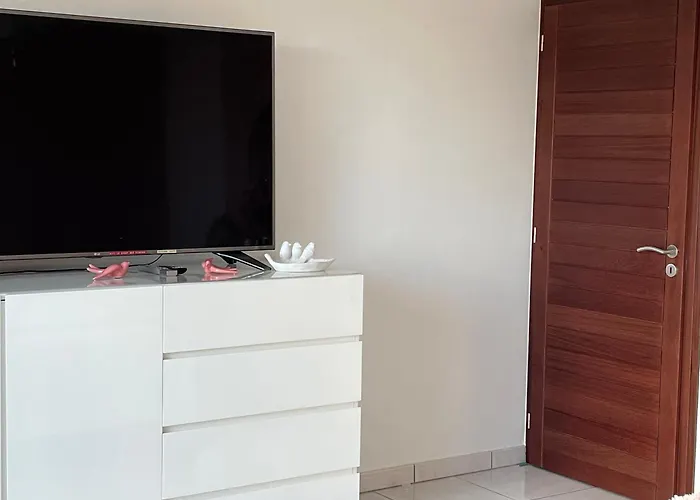 Le Chant Des Oiseaux - Au Pied De La Voie Cyclable