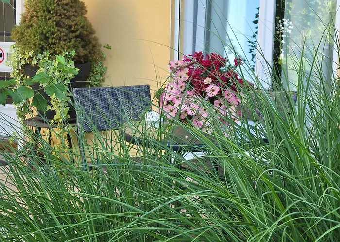 Homestay Le Chant Des Oiseaux - Au Pied De La Voie Cyclable