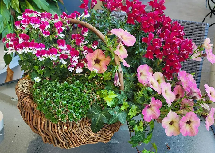 Le Chant Des Oiseaux - Au Pied De La Voie Cyclable Homestay *