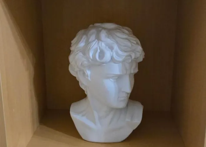 Le Chant Des Oiseaux - Au Pied De La Voie Cyclable *